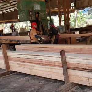 Sawmill