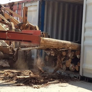 Loading Log to India