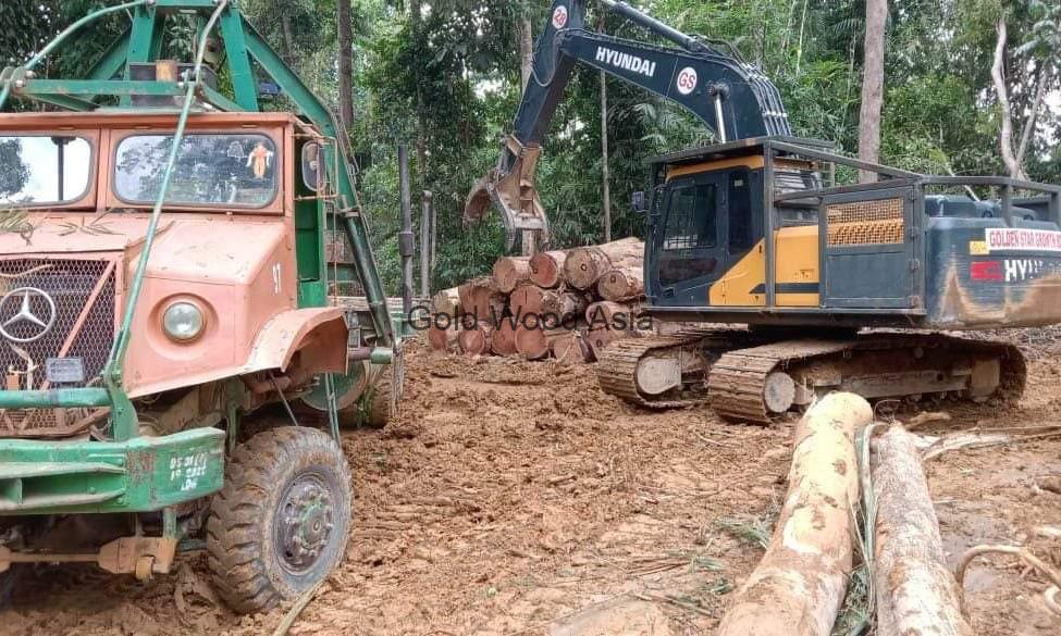 PHOTO-2023-07-18-17-02-48