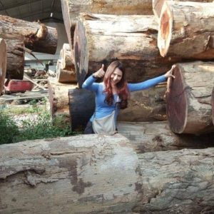 Handpick log for sawmill